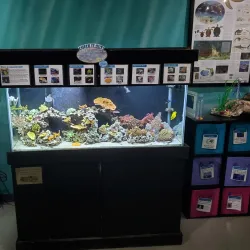 St. Lucie County Aquarium - Port St Lucie