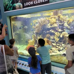 St. Lucie County Aquarium - Port St Lucie