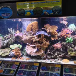 St. Lucie County Aquarium - Port St Lucie