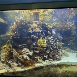 St. Lucie County Aquarium - Port St Lucie