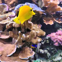 St. Lucie County Aquarium - Port St Lucie