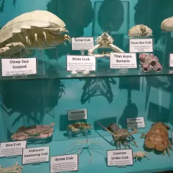 St. Lucie County Aquarium - Port St Lucie