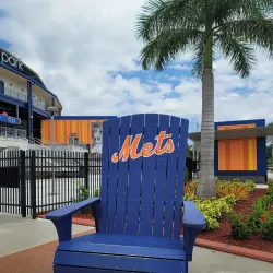 Tradition Field - Port St Lucie
