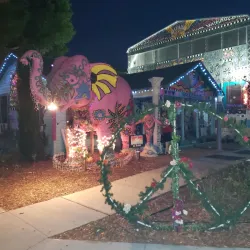 Downtown Safety Harbor - Safety Harbor