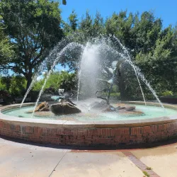 Downtown Safety Harbor - Safety Harbor