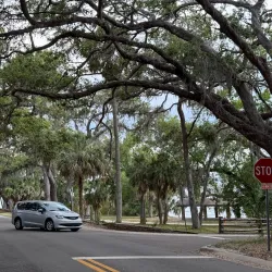 Philippe Park - Safety Harbor