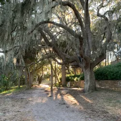 Philippe Park - Safety Harbor