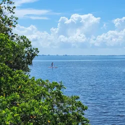 Philippe Park - Safety Harbor