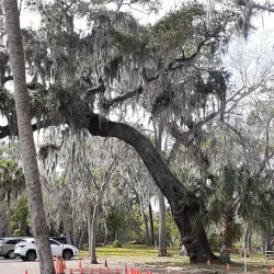 Philippe Park - Safety Harbor