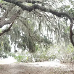 Philippe Park - Safety Harbor