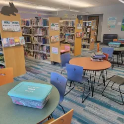 Safety Harbor Library - Safety Harbor