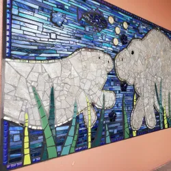 Safety Harbor Library - Safety Harbor