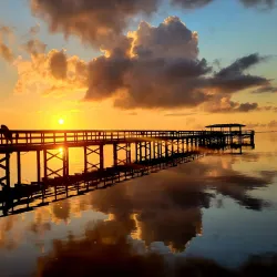 Safety Harbor Marina - Safety Harbor