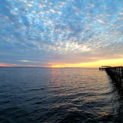 Safety Harbor Marina - Safety Harbor
