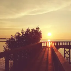 Safety Harbor Marina - Safety Harbor