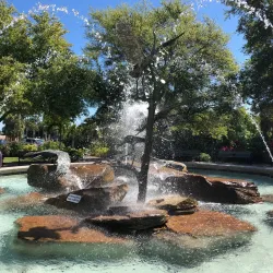 Safety Harbor Marina - Safety Harbor