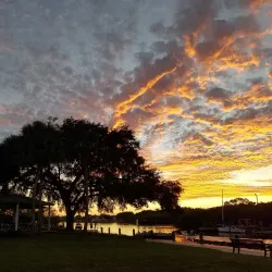 Safety Harbor Marina - Safety Harbor