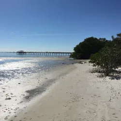 Safety Harbor Waterfront Park - Safety Harbor