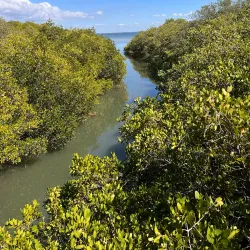 Safety Harbor Waterfront Park - Safety Harbor