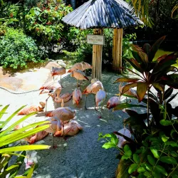 Great Explorations Children's Museum - Saint Petersburg