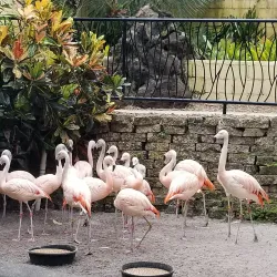 Great Explorations Children's Museum - Saint Petersburg