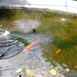 Great Explorations Children's Museum - Saint Petersburg