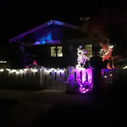 Historic Old Northeast Neighborhood - Saint Petersburg