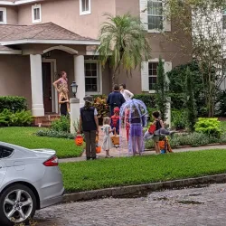 Historic Old Northeast Neighborhood - Saint Petersburg