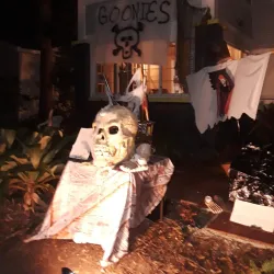 Historic Old Northeast Neighborhood - Saint Petersburg