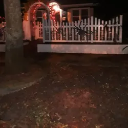 Historic Old Northeast Neighborhood - Saint Petersburg