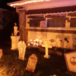 Historic Old Northeast Neighborhood - Saint Petersburg