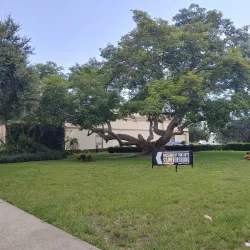 Museum of Fine Arts, St. Petersburg - Saint Petersburg