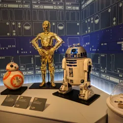 Museum of Fine Arts, St. Petersburg - Saint Petersburg