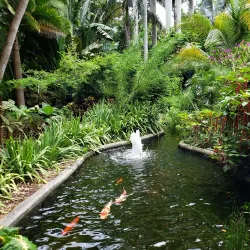 Sunken Gardens - Saint Petersburg