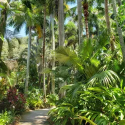 Sunken Gardens - Saint Petersburg
