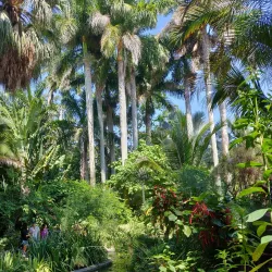 Sunken Gardens - Saint Petersburg