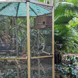 Sunken Gardens - Saint Petersburg