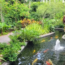 Sunken Gardens - Saint Petersburg