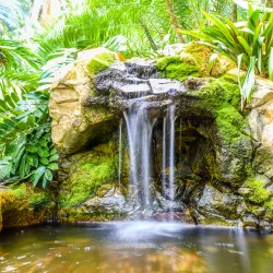 Sunken Gardens - Saint Petersburg