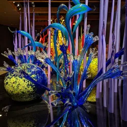 The Chihuly Collection - Saint Petersburg