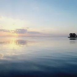 Vinoy Park - Saint Petersburg