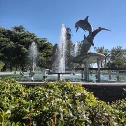 Bayfront Park - Sarasota