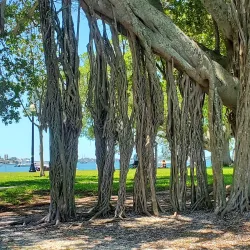 Bayfront Park - Sarasota