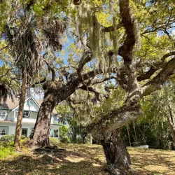 Historic Spanish Point - Sarasota