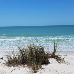 Lido Key Beach - Sarasota