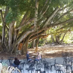 Marie Selby Botanical Gardens - Sarasota