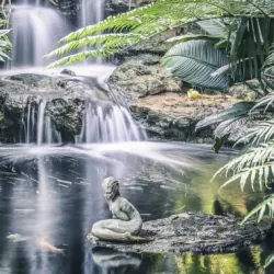 Marie Selby Botanical Gardens - Sarasota