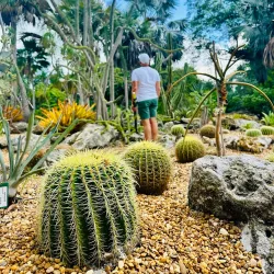 Marie Selby Botanical Gardens - Sarasota