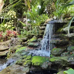 Marie Selby Botanical Gardens - Sarasota