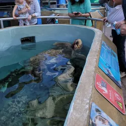 Mote Marine Laboratory & Aquarium - Sarasota